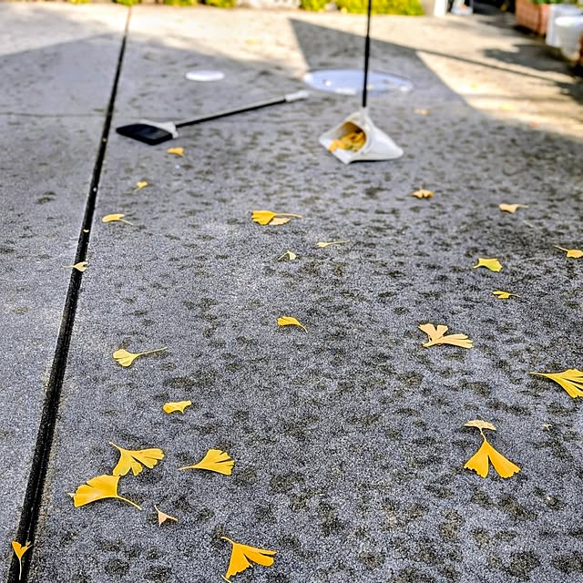 a.co.さんの部屋