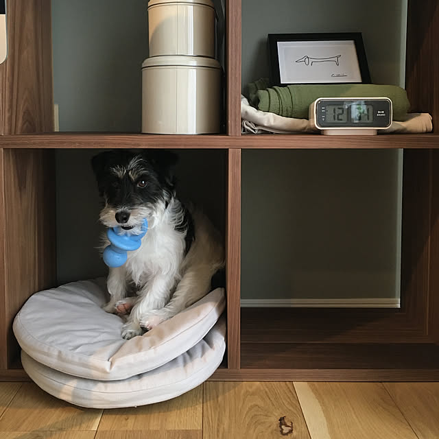 zizihomeさんの実例写真