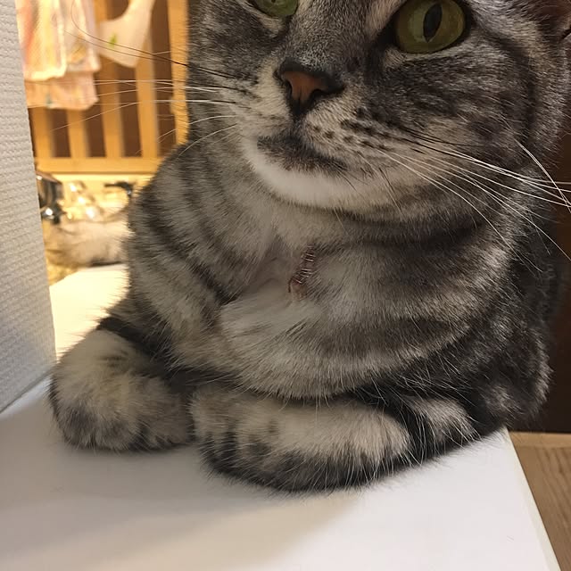 mikomaruさんの実例写真