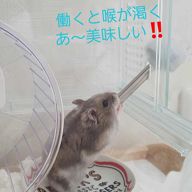 BAZさんの実例写真