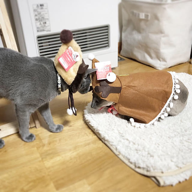 mujinekoさんの実例写真