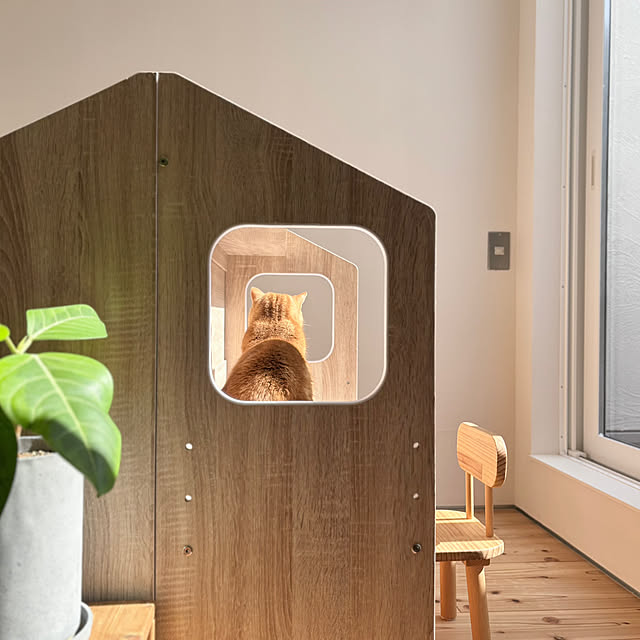 yukiさんの実例写真