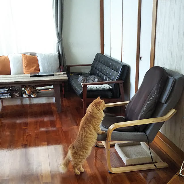 gabさんの実例写真