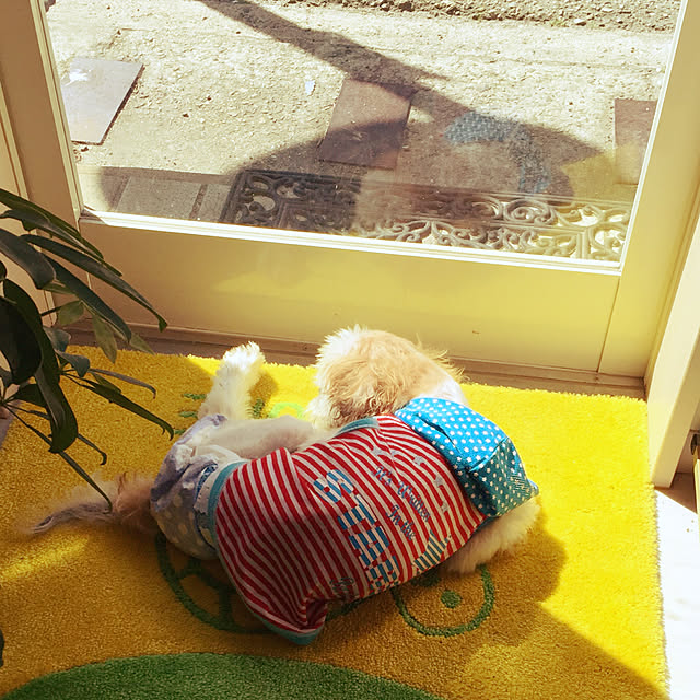 oniyomeさんの実例写真