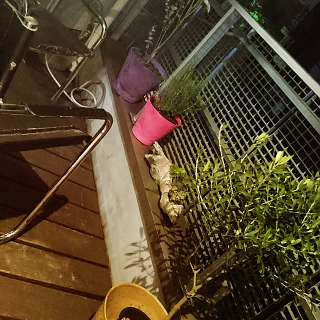 yasuさんの実例写真