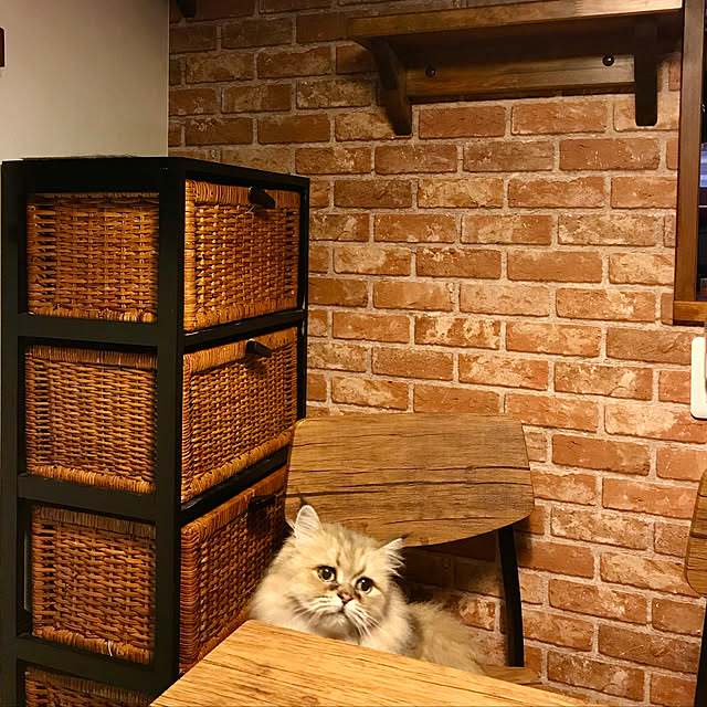 butachanさんの実例写真