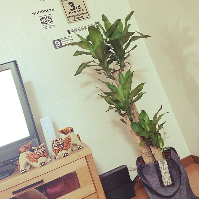 melimeloさんの実例写真