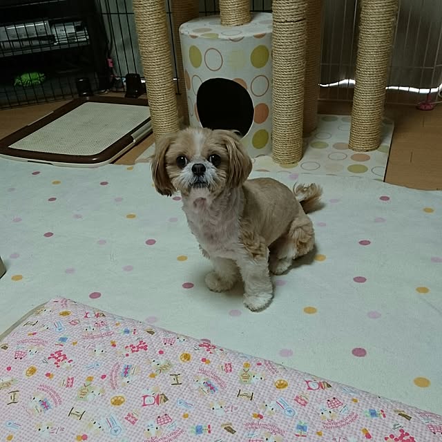 ronさんの実例写真