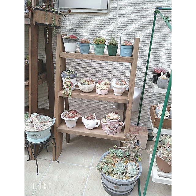 WOODPROさんの部屋