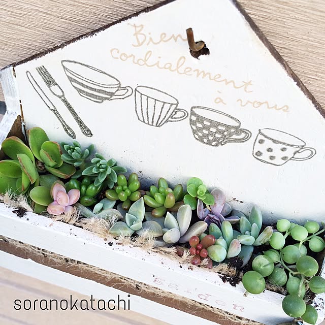 soranokatachiさんの実例写真