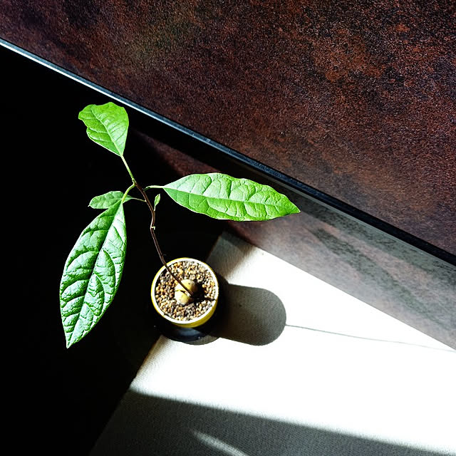 pomeさんの実例写真
