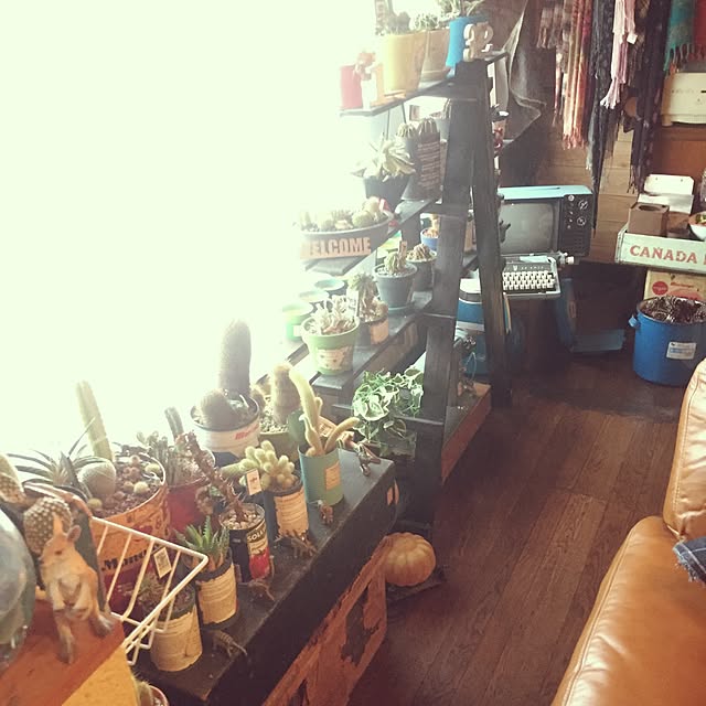 Masahideさんの実例写真