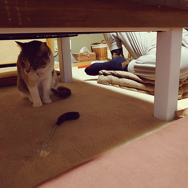 fukuさんの実例写真