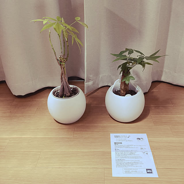 t_hysk080808さんの実例写真