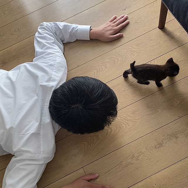 okapiさんの部屋