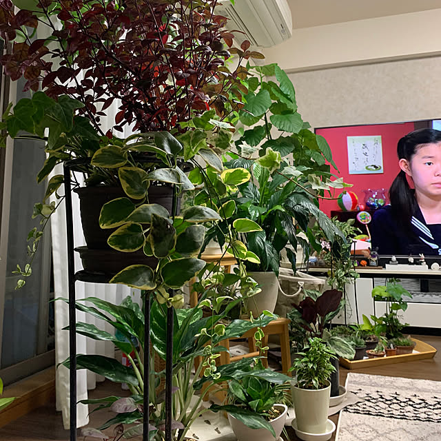 Aqettyさんの部屋