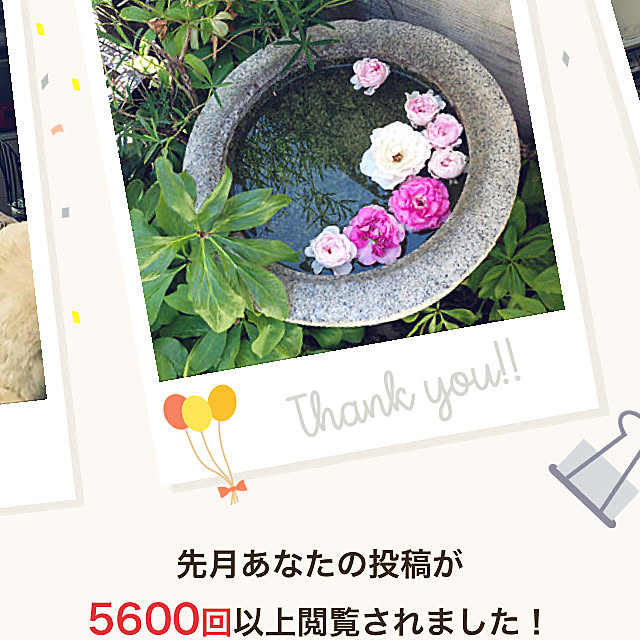 momokaさんの実例写真