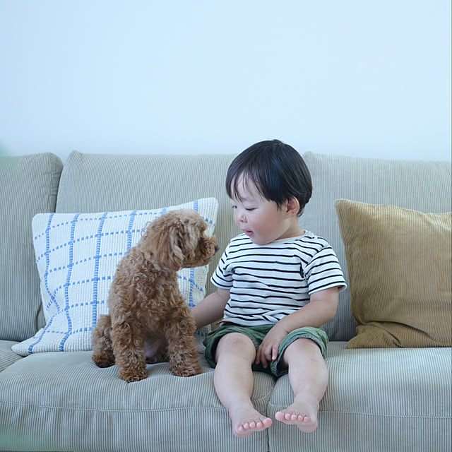 nico_home_igさんの実例写真