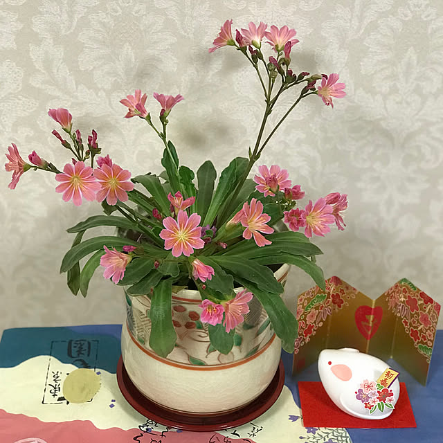 fuyiqian1026さんの実例写真