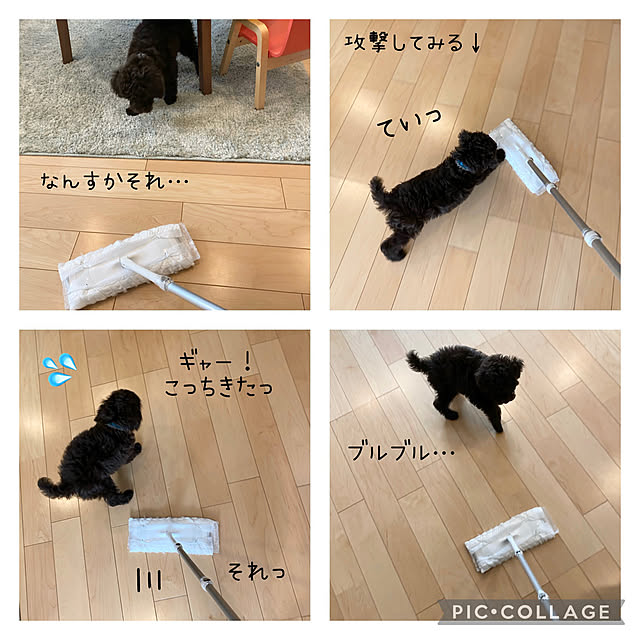 sasaeriさんの実例写真