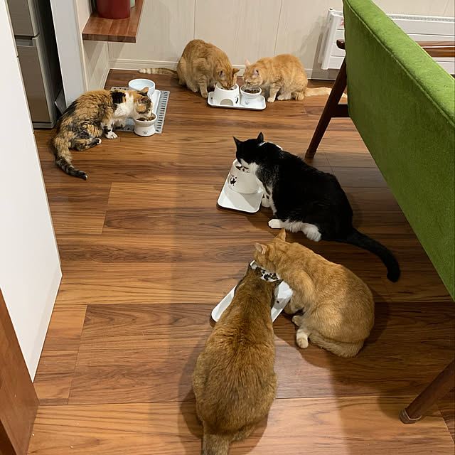 mikeume7さんの実例写真