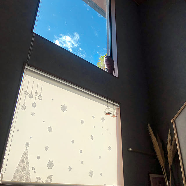 123homeさんの実例写真