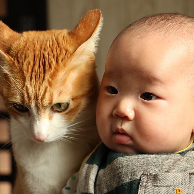 kazuyonさんの実例写真