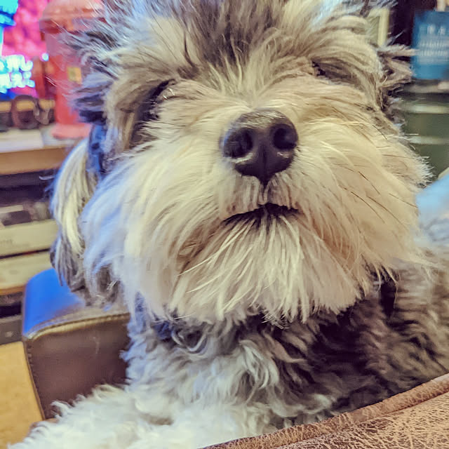 GINさんの実例写真