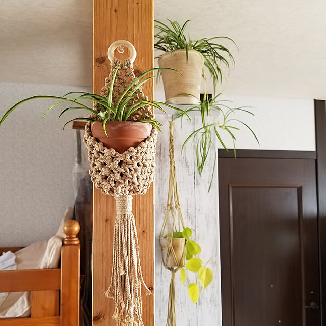 midoriさんの実例写真