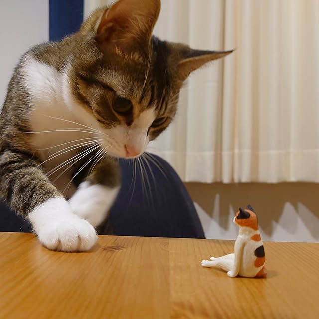 mochicoさんの実例写真