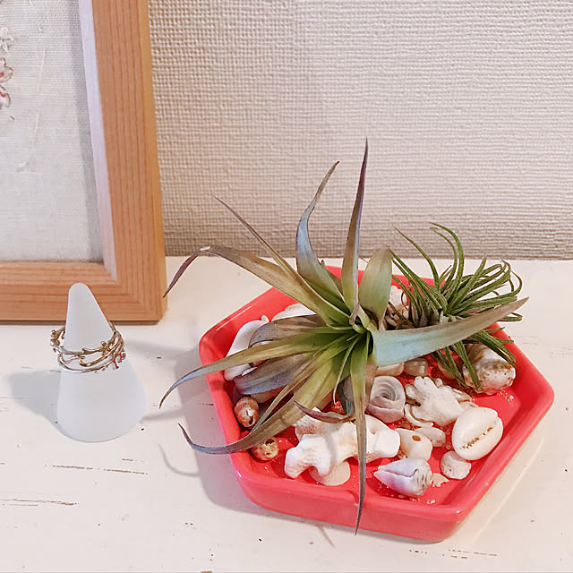 Chasa.さんの実例写真