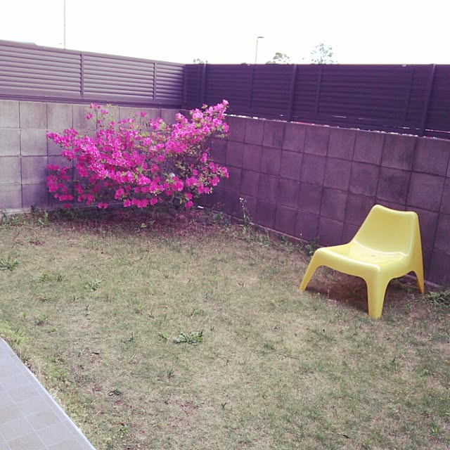 nozomiさんの実例写真