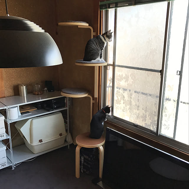 nejimakiさんの実例写真