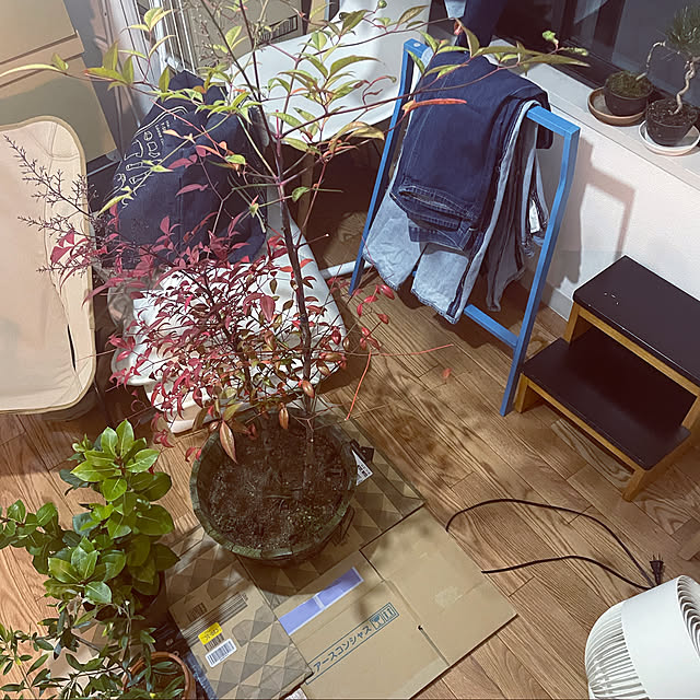 arsroさんの実例写真