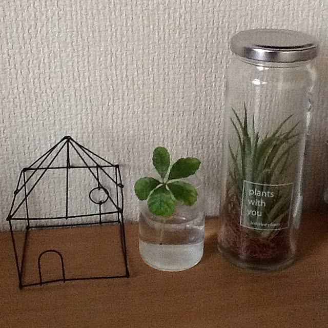 Mikaさんの実例写真