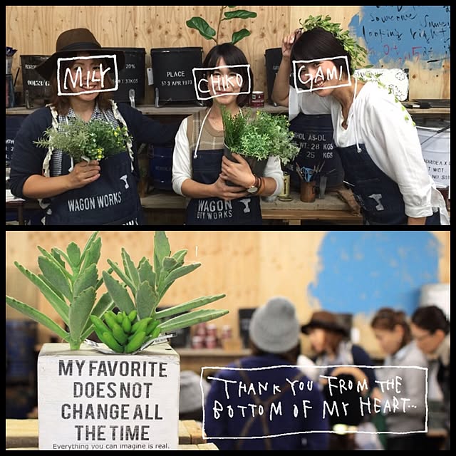 gamiさんの実例写真