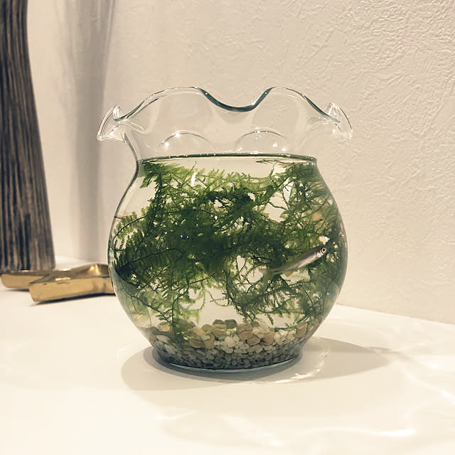 kumiさんの実例写真