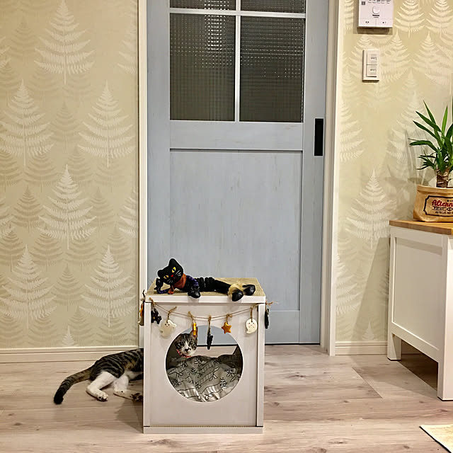 ippu0303Karinさんの実例写真