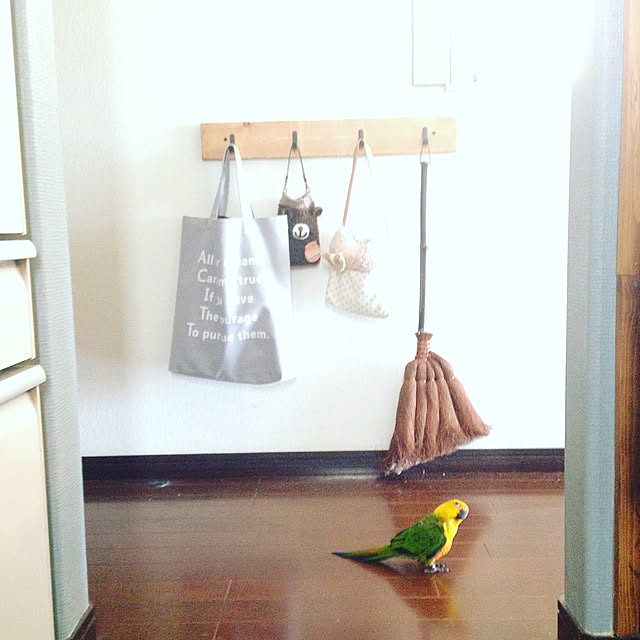 kuroさんの実例写真