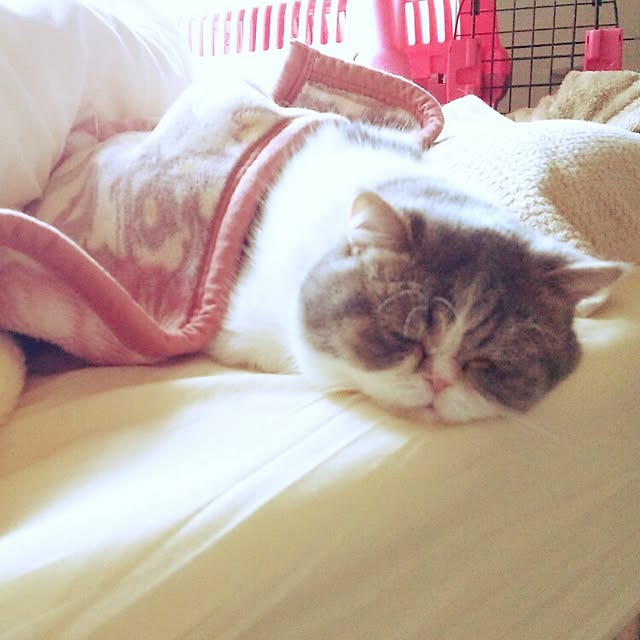 otoさんの実例写真