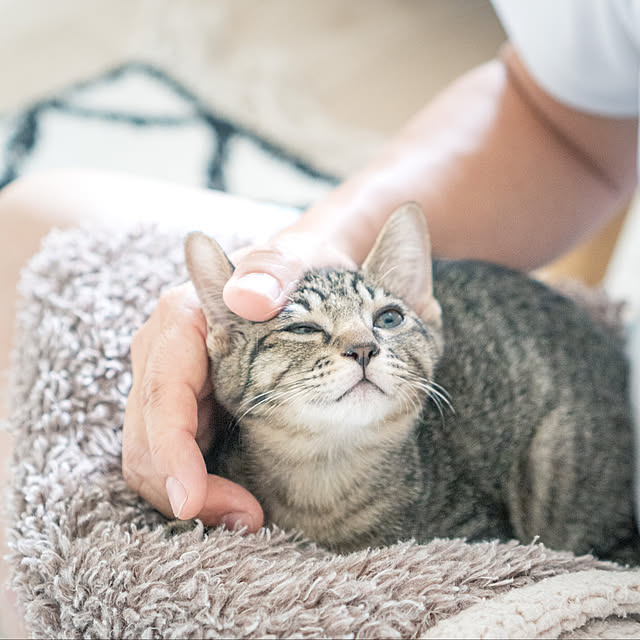 oliveさんの実例写真