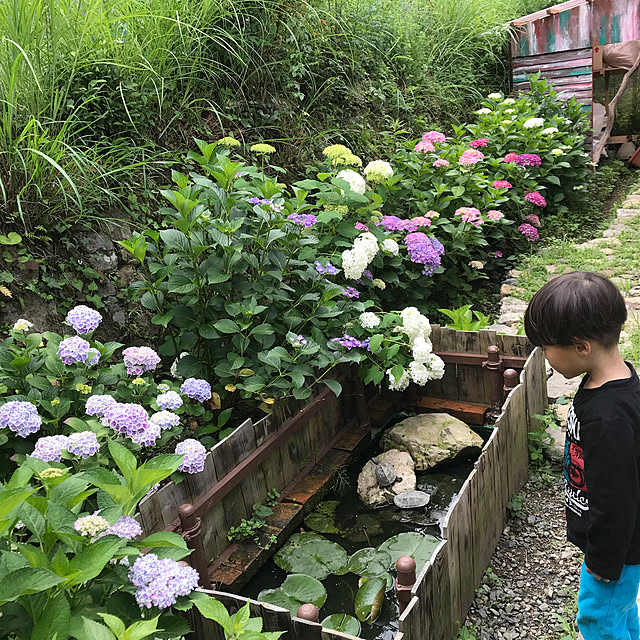 pepeさんの実例写真