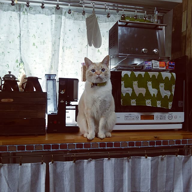 mntcさんの実例写真