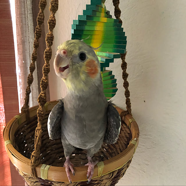 kaboさんの実例写真