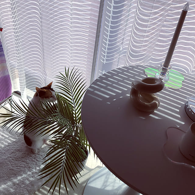 kanaさんの実例写真