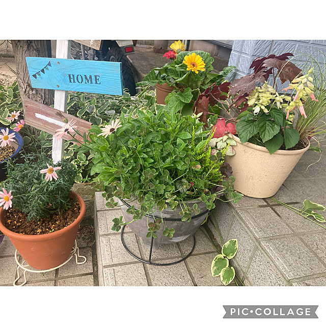 CoCo0617さんの部屋