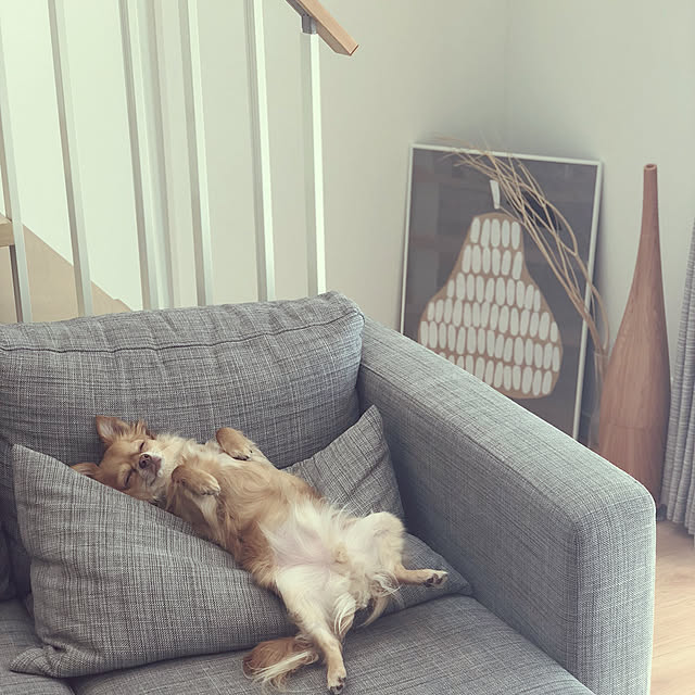 comoさんの実例写真