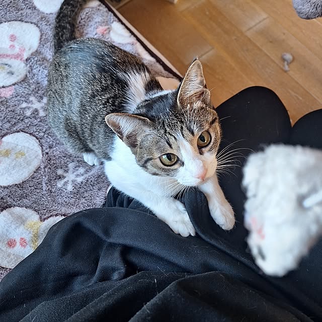 akimameさんの部屋