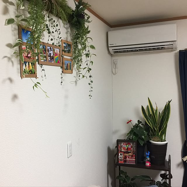 mayumi.hさんの実例写真