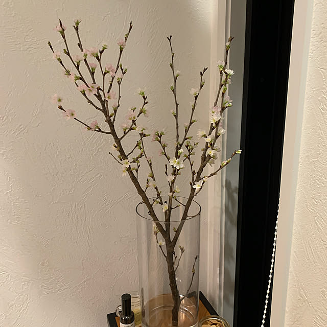 romiromiさんの実例写真